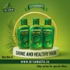 Picture of Ervamatin Hair Lotion (Pack Of 3) Free Shipping