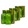Picture of ERVAMATIN HAIR LOTION 6 BOTTLES + FREE AMAZON ORGANIC SHAMPOO BUNDLE